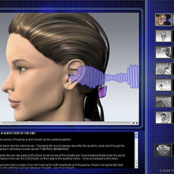 Interactive Design: Screenshot from The 3D World of the Five Senses (Maya, Photoshop, Flash)